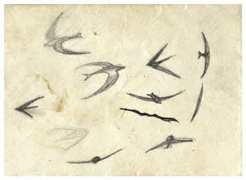 Visualizza l'immagine "FD D 373 r."